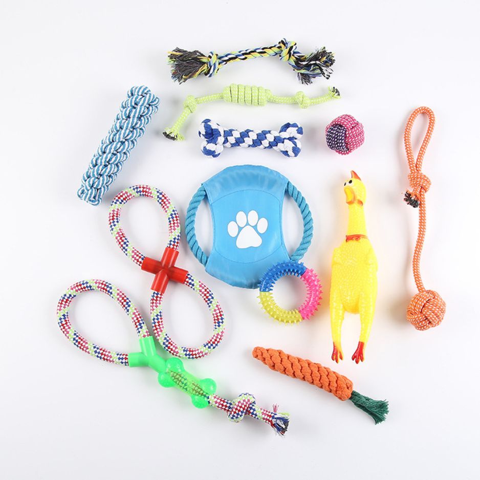 12-delige Honden Speelset | Kauwbestendig en Tandverzorging voor honden